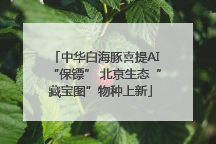 中华白海豚喜提AI“保镖” 北京生态“藏宝图”物种上新