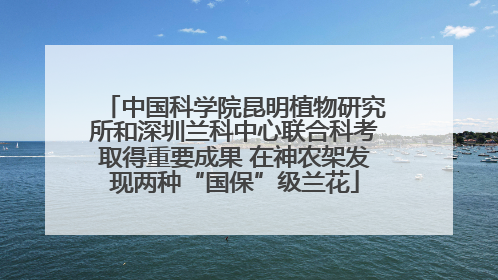 中国科学院昆明植物研究所和深圳兰科中心联合科考取得重要成果 在神农架发现两种“国保”级兰花
