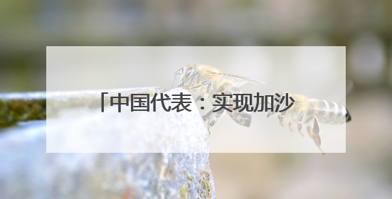 中国代表：实现加沙持久停火刻不容缓