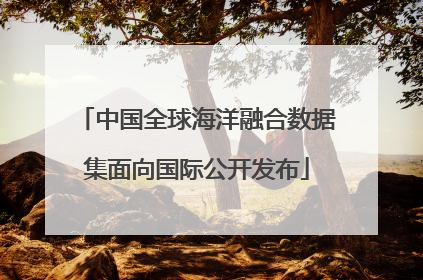 中国全球海洋融合数据集面向国际公开发布