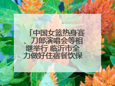 中国女篮热身赛、刀郎演唱会等相继举行 临沂市全力做好住宿餐饮保障工作