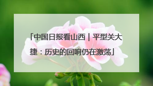 中国日报看山西｜平型关大捷：历史的回响仍在激荡