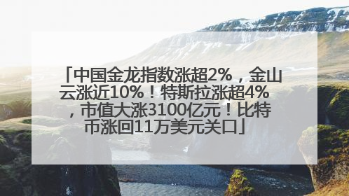 中国金龙指数涨超2%，金山云涨近10%！特斯拉涨超4%，市值大涨3100亿元！比特币涨回11万美元关口