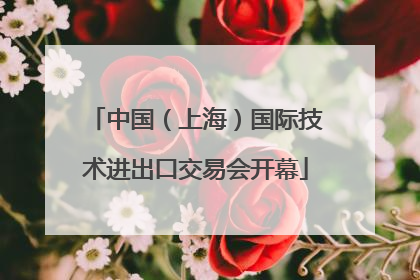 中国（上海）国际技术进出口交易会开幕