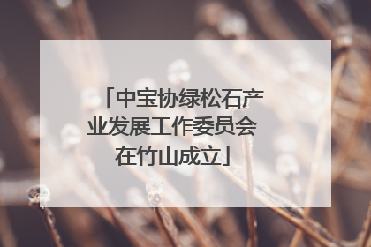 中宝协绿松石产业发展工作委员会在竹山成立