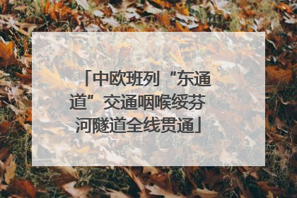 中欧班列“东通道”交通咽喉绥芬河隧道全线贯通