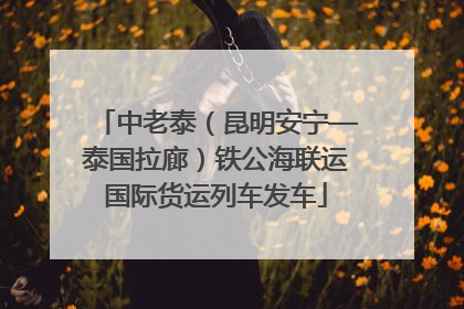 中老泰（昆明安宁—泰国拉廊）铁公海联运国际货运列车发车