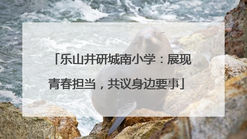 乐山井研城南小学：展现青春担当，共议身边要事