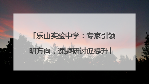乐山实验中学：专家引领明方向，课题研讨促提升