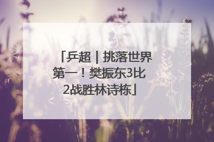 乒超｜挑落世界第一！樊振东3比2战胜林诗栋