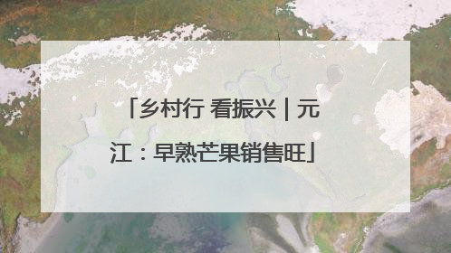 乡村行 看振兴｜元江：早熟芒果销售旺