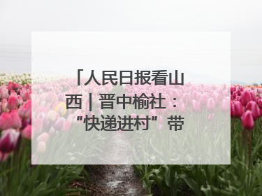 人民日报看山西｜晋中榆社：“快递进村”带火小山村
