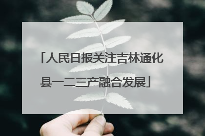 人民日报关注吉林通化县一二三产融合发展