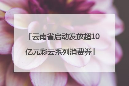 云南省启动发放超10亿元彩云系列消费券