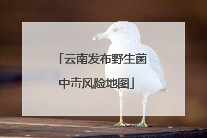 云南发布野生菌中毒风险地图
