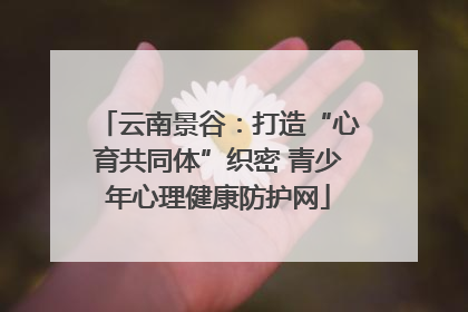 云南景谷：打造“心育共同体”织密 青少年心理健康防护网