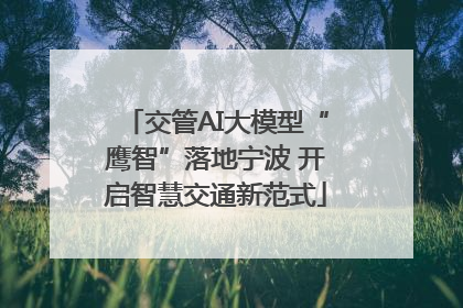 交管AI大模型“鹰智”落地宁波 开启智慧交通新范式