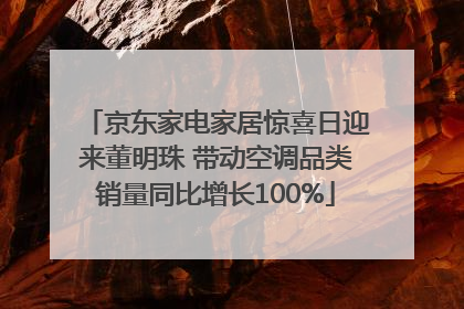 京东家电家居惊喜日迎来董明珠 带动空调品类销量同比增长100%