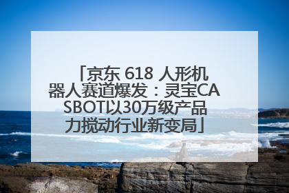 京东 618 人形机器人赛道爆发：灵宝CASBOT以30万级产品力搅动行业新变局