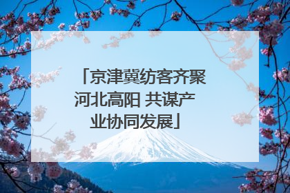 京津冀纺客齐聚河北高阳 共谋产业协同发展