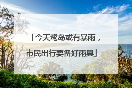 今天鹭岛或有暴雨，市民出行要备好雨具