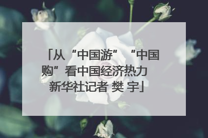 从“中国游”“中国购”看中国经济热力 新华社记者 樊 宇