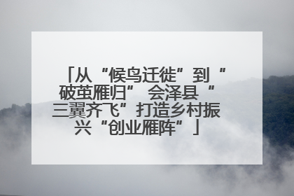 从“候鸟迁徙”到“破茧雁归” 会泽县“三翼齐飞”打造乡村振兴“创业雁阵”