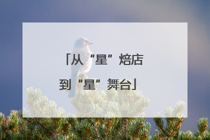 从“星”焙店到“星”舞台
