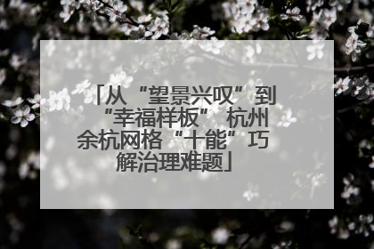 从“望景兴叹”到“幸福样板” 杭州余杭网格“十能”巧解治理难题