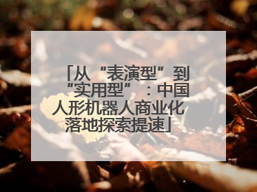 从“表演型”到“实用型”：中国人形机器人商业化落地探索提速