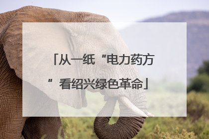 从一纸“电力药方”看绍兴绿色革命