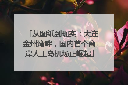 从图纸到现实：大连金州湾畔，国内首个离岸人工岛机场正崛起