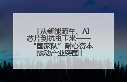 从新能源车、AI芯片到抗虫玉米——“国家队”耐心资本撬动产业突围