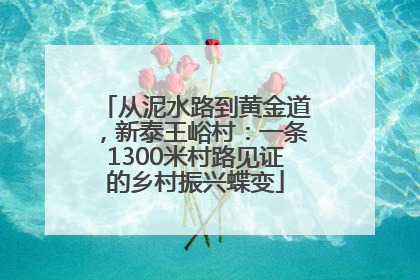 从泥水路到黄金道，新泰王峪村：一条1300米村路见证的乡村振兴蝶变