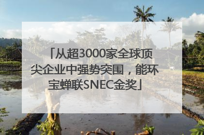从超3000家全球顶尖企业中强势突围，能环宝蝉联SNEC金奖