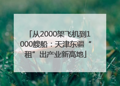 从2000架飞机到1000艘船：天津东疆“租”出产业新高地