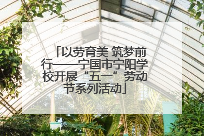 以劳育美 筑梦前行——宁国市宁阳学校开展“五一”劳动节系列活动