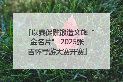 以赛促融锻造文旅“金名片” 2025张吉怀导游大赛开赛