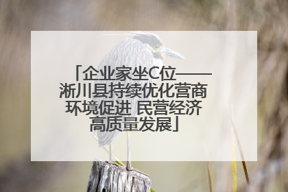 企业家坐C位——淅川县持续优化营商环境促进 民营经济高质量发展