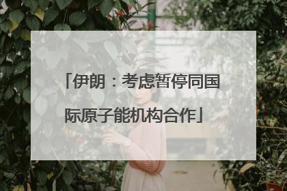 伊朗：考虑暂停同国际原子能机构合作