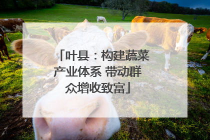 叶县：构建蔬菜产业体系 带动群众增收致富