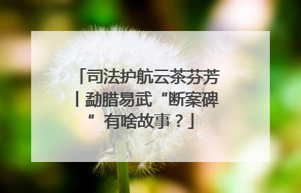 司法护航云茶芬芳丨勐腊易武“断案碑”有啥故事？