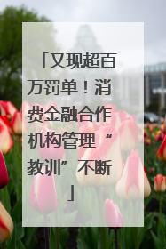 又现超百万罚单！消费金融合作机构管理“教训”不断
