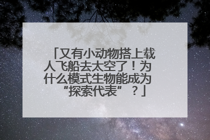 又有小动物搭上载人飞船去太空了！为什么模式生物能成为“探索代表”？