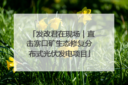 发改君在现场｜直击寨口矿生态修复分布式光伏发电项目
