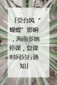 受台风“蝴蝶”影响，海南多地停课，复课时间另行通知