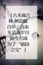 古木阅吉林 树语藏百年｜百余年沧桑岁月 如今它成为了“镇园之宝”