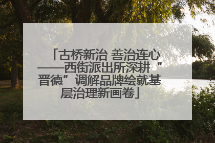古桥新治 善治连心——西街派出所深耕“晋德”调解品牌绘就基层治理新画卷