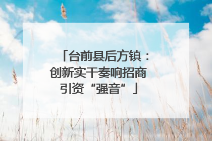 台前县后方镇：创新实干奏响招商引资“强音”