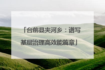 台前县夹河乡：谱写基层治理高效能篇章